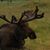 Kathie Dobbe Dorus's profile image