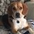 Scott Lindsey Neeley's profile image