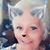 Julia Crow Beehn's profile image