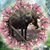 Charity Cariker's profile image