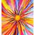 Tammy Mittelstaedt Biever's profile image