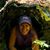 Bonnie Tiedt's profile image