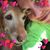 Emily Joseph Sigman's profile image