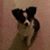 Julie Enis's profile image