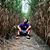 Cole Gobel's profile image