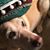 Lisa Faford's profile image
