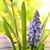 Deb Fazio C's profile image