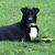 Lori McAllister's profile image