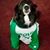 Susan Winters's profile image