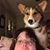 Grace Louise's profile image