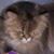Maura Young Weise's profile image