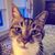 Michelle Ortman's profile image
