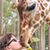 Kathi Hensley's profile image