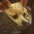 Nana Snyder's profile image