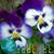 Barbara Trapp's profile image
