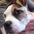 Harley Bearfield's profile image