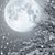 Lisa Callen Bush's profile image