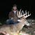 Cole Graves's profile image