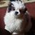 Deneen Strobel's profile image