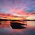 Diane Unger Kinzer's profile image
