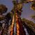 Alicia B. Fuentes's profile image
