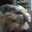 Kim Erickson's profile image