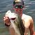 Stewart Blong's profile image