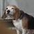 Sandy Keyser's profile image