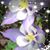 Lisa Johnson's profile image
