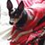 Jo Anderson's profile image
