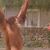 John Sirianni's profile image
