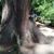 Maureen Pitcher Beleck's profile image
