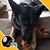 DRod Knepper's profile image