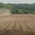 Workmore Farms's profile image