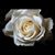 Leonor Cedeno Montesdeoca's profile image
