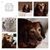 Liliana Franco-Ramirez's profile image