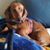 Dottie Humble's profile image