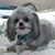 Dianne Wooster Maggard's profile image