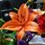 Paula Fleming Zidel's profile image