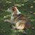 Kurt L Vangsness's profile image