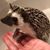 Shelly Moyers's profile image