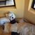 Ute Eisinger's profile image