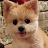 Terry L.'s profile image