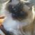 Tina Smith's profile image