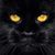 Julie Jablonski's profile image