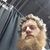 Paul Binkley's profile image
