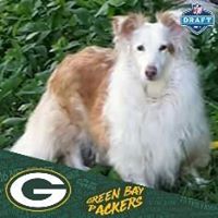 Jackie Bovee-Petruska's profile image