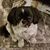 Debra Olszewski's profile image