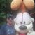 Eddy Hanson's profile image