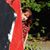 Cheryl Goucher's profile image